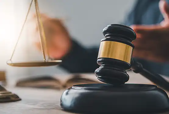 PREVIC divulga Carta de Serviços com prazos e procedimentos da previdência complementar fechada 